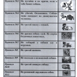 для-сведения.-2