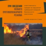 Желтый и Зеленый Динамичные Рамки Пожары Кризисный центр Публикация в социальных сетях