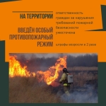 Желтый и Зеленый Динамичные Рамки Пожары Кризисный центр Публикация в социальных сетях