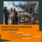 Желтый и Зеленый Динамичные Рамки Пожары Кризисный центр Публикация в социальных сетях