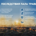пал